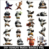 Kungfu Panda PNG Bundle