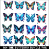 The Butterfly PNG Bundle